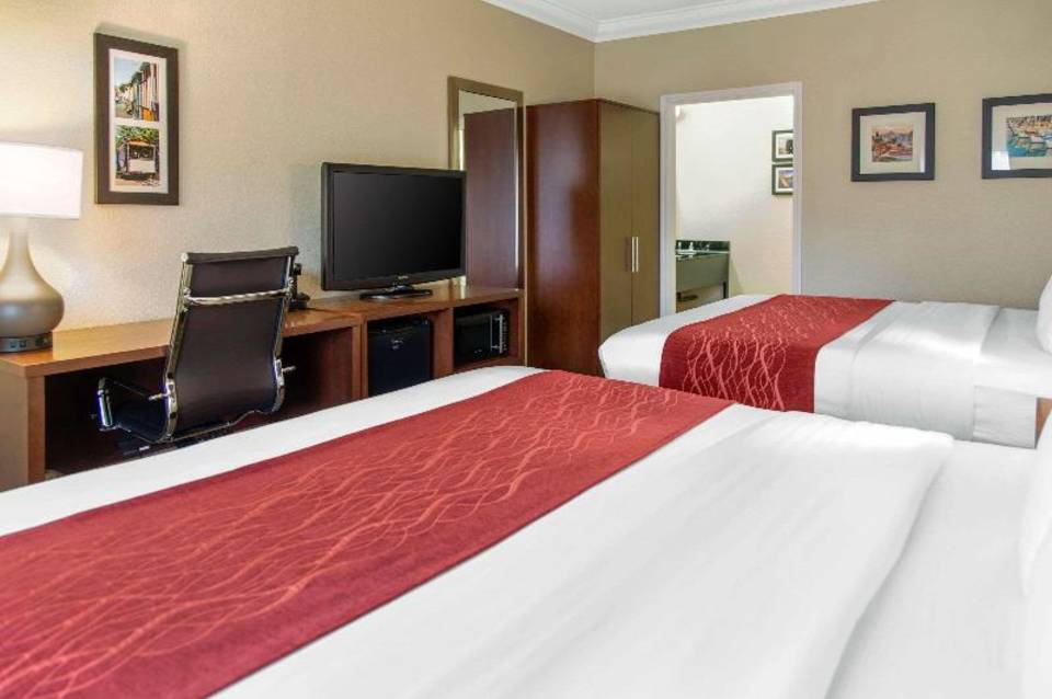 Comfort Inn & Suites San Francisco Airport North 4