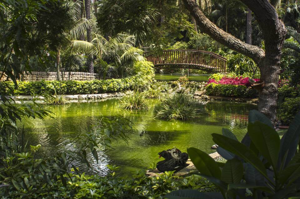 Hotel Botanico & The Oriental Spa Garden 5* GL 4