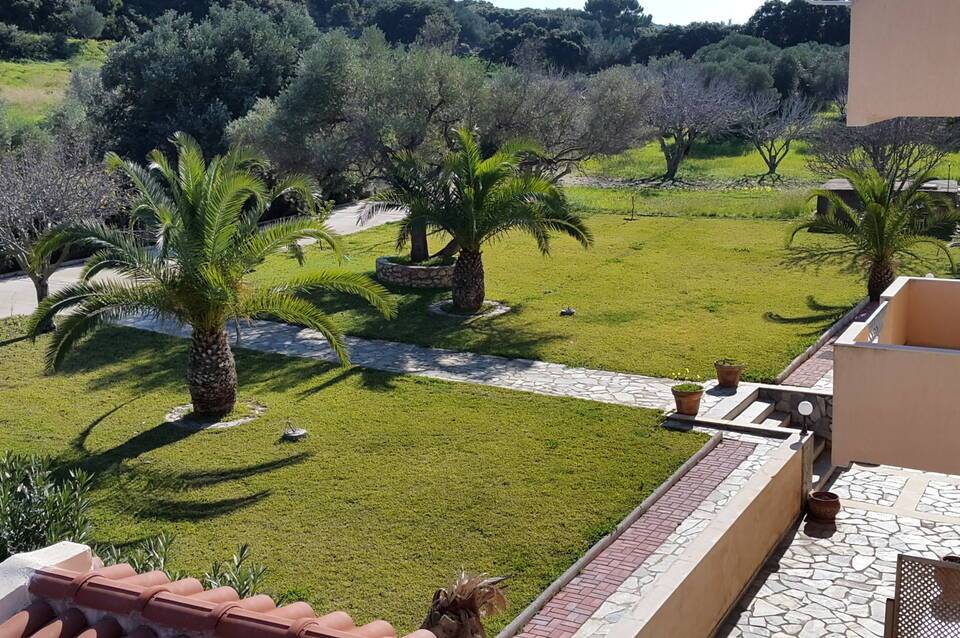 Palatino 3