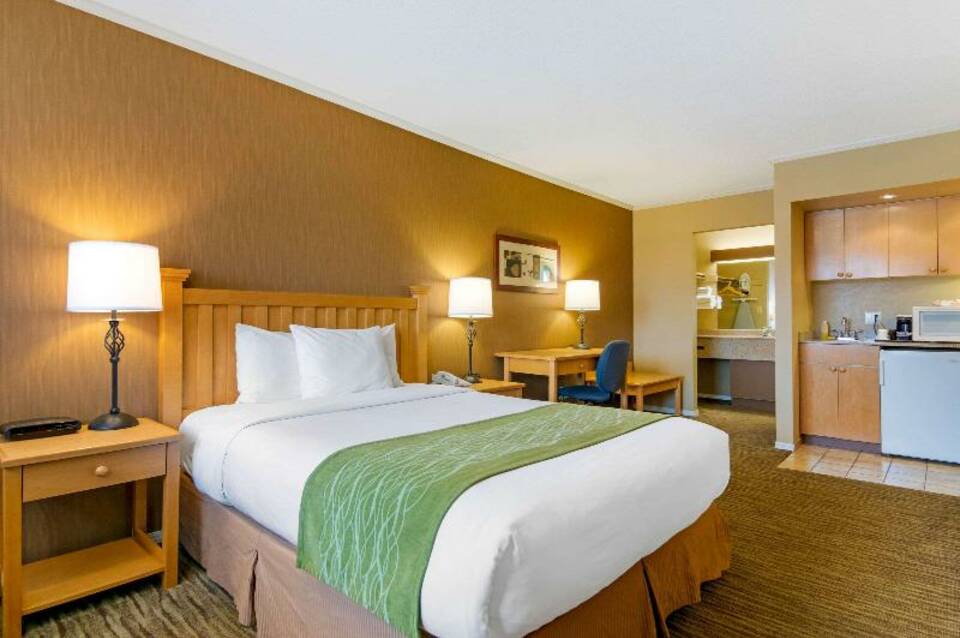 Econo Lodge Inn & Suites 5