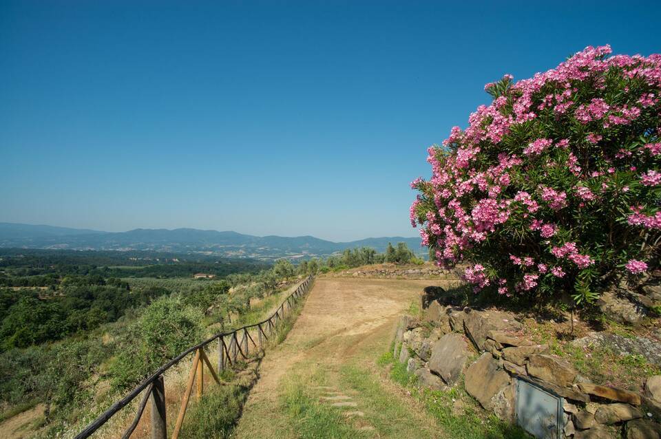 Fattoria Degli Usignoli Hotel & Residence 2