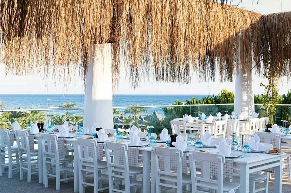 Paloma Oceana 4