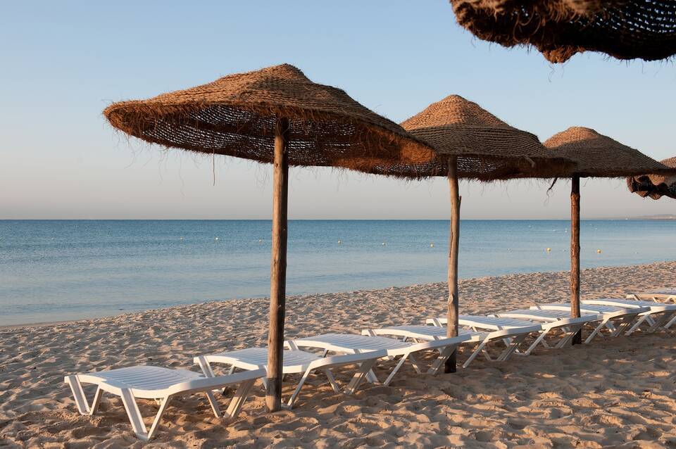 Sentido Phenicia 4