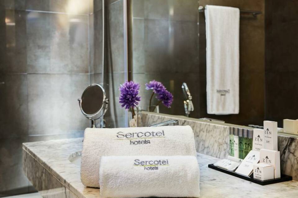 Sercotel Ámister Art Hotel 5