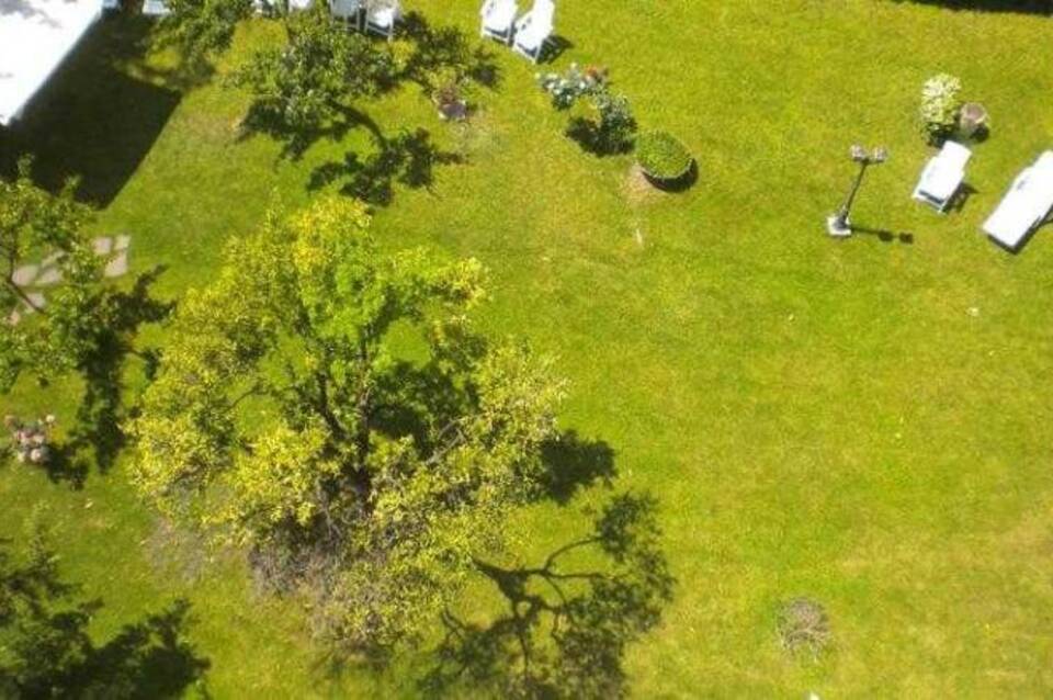 Massimi City Garden Hotel 3