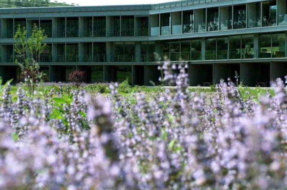Món Sant Benet Hotel & Conference Centre 3