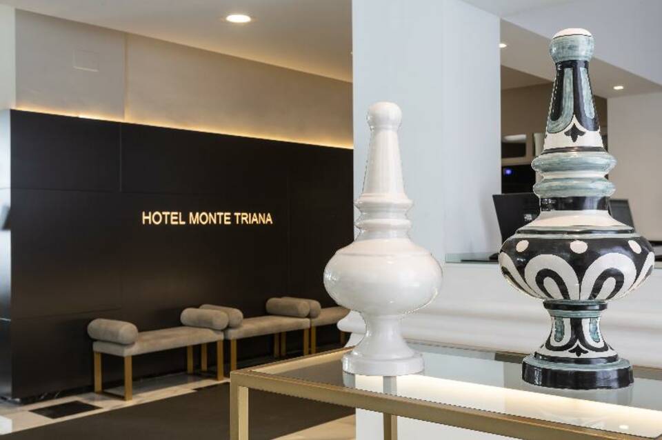 Monte Triana 5