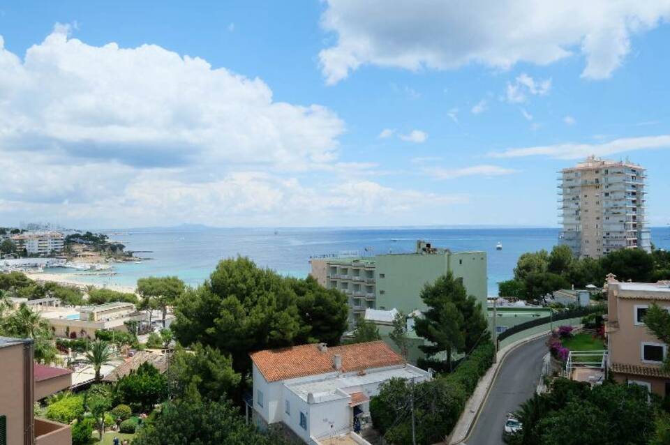 azuLine Hotel Palmanova Garden 5
