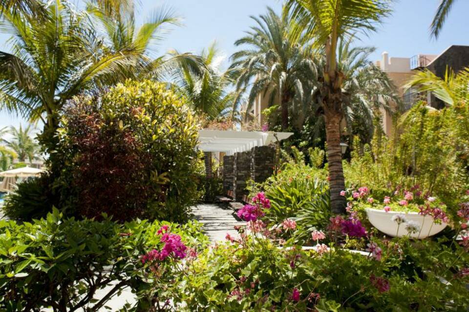 Palm Oasis Maspalomas 3