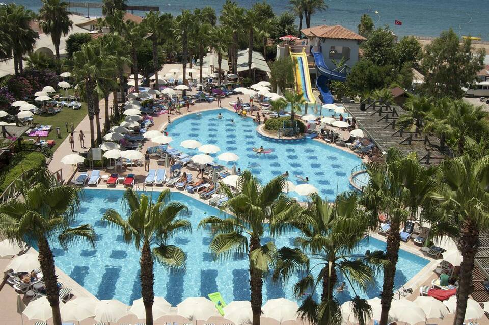 Trendy Palm Beach 2