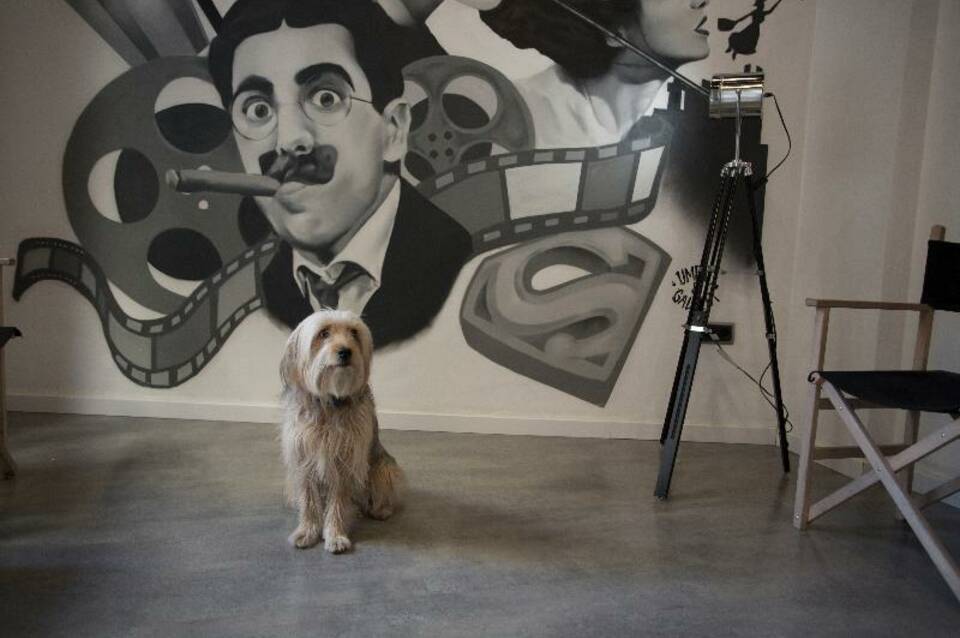 Casual Valencia del Cine 2