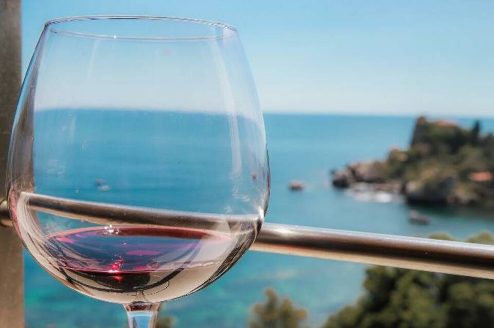 Panoramic 1