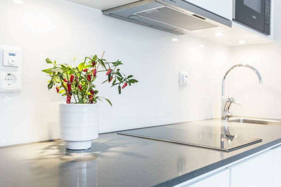 Biz Apartment Hammarby Sjöstad 3