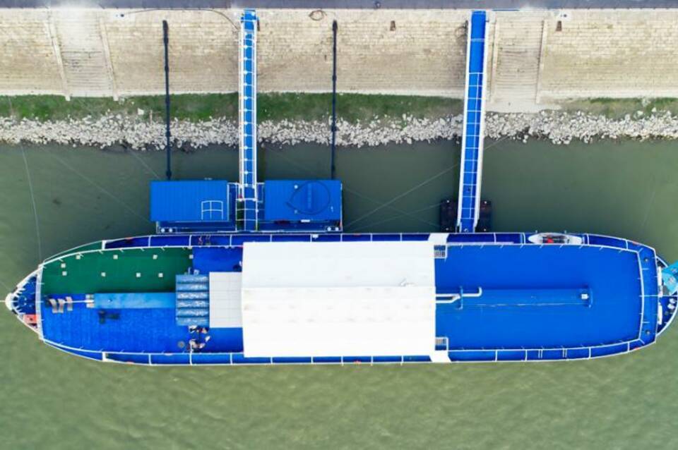 Fortuna Boat 4