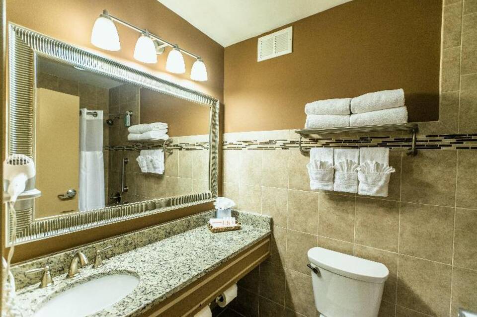 Holiday Inn Newark International Airport 4
