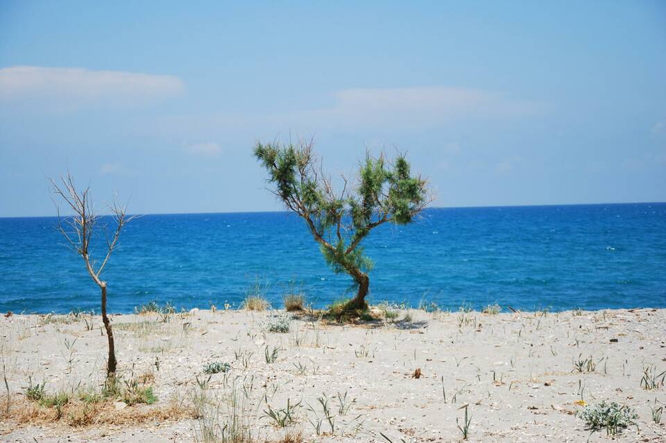 Lito Beach Hotel 3