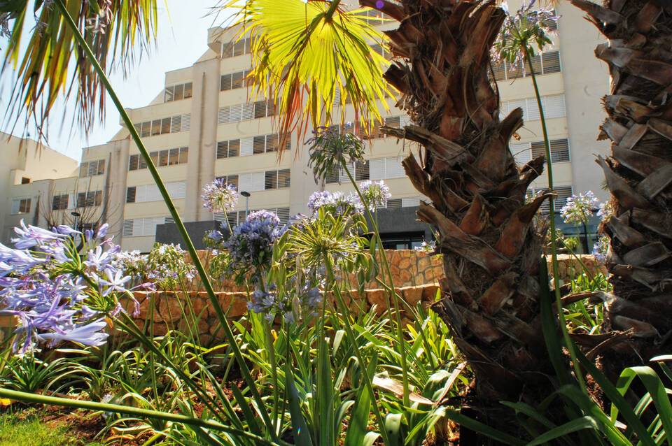 Protur Palmeras Playa Hotel 1