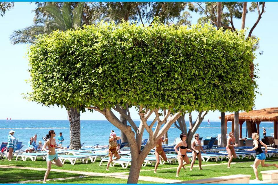 Poseidonia Beach Hotel 5