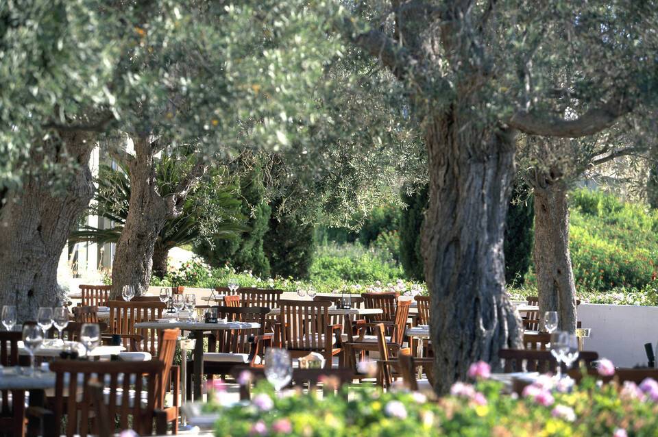 Anassa 3