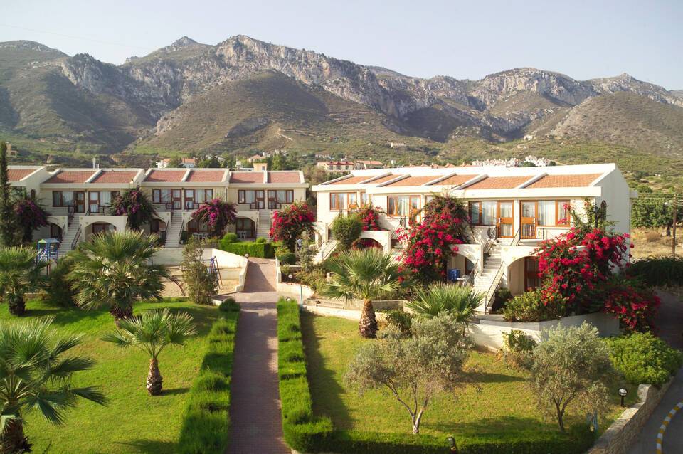 The Olive Tree Hotel 1