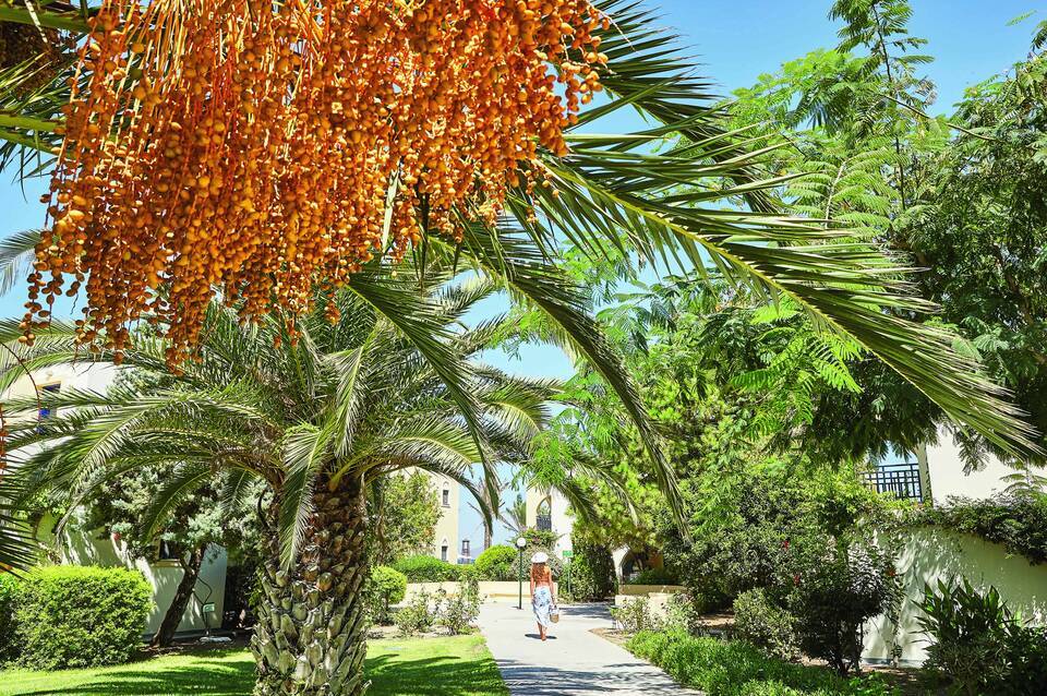 Grecotel Casa Paradiso 5