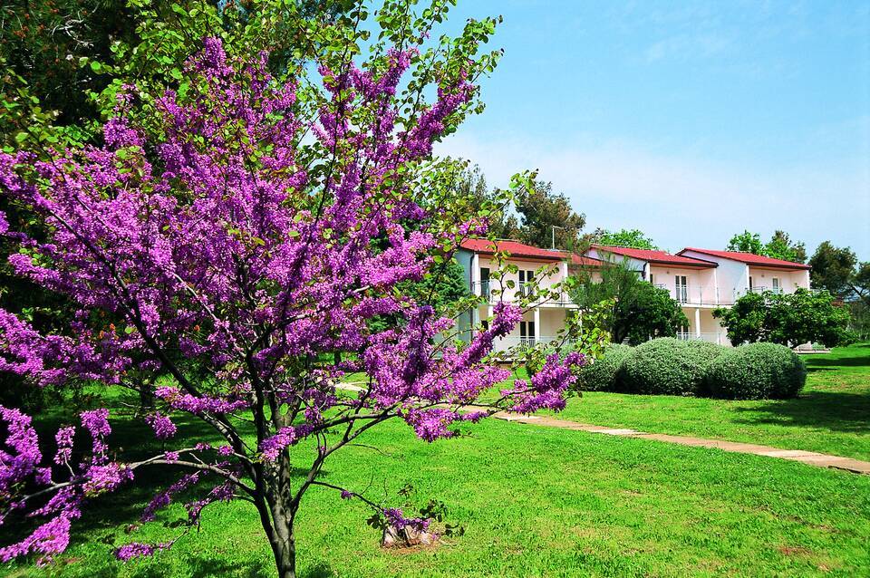 Ai Pini Medulin Resort 2
