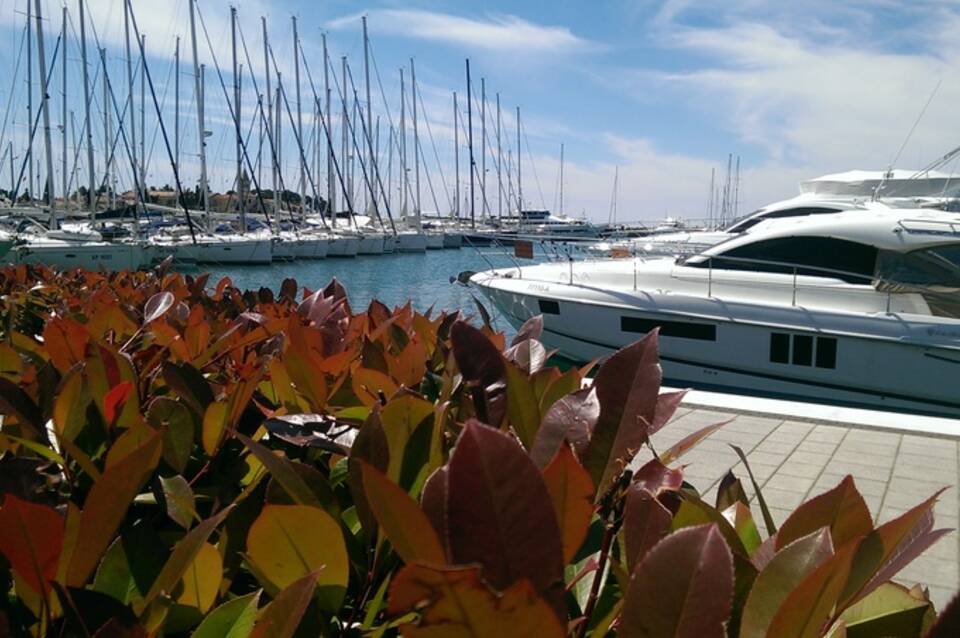 Nautica 1