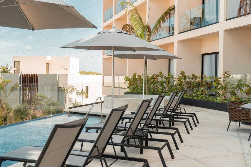 Hive Cancun 3