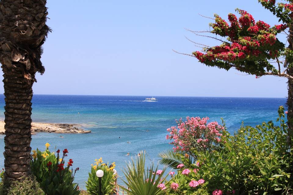 Crystal Springs Beach Hotel 5