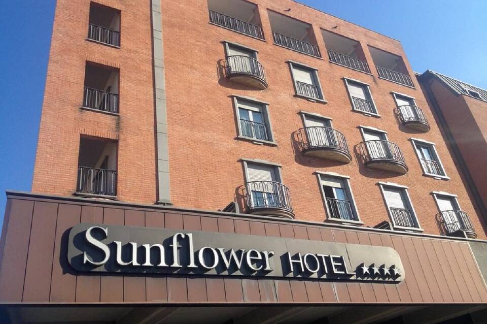 Sunflower 1