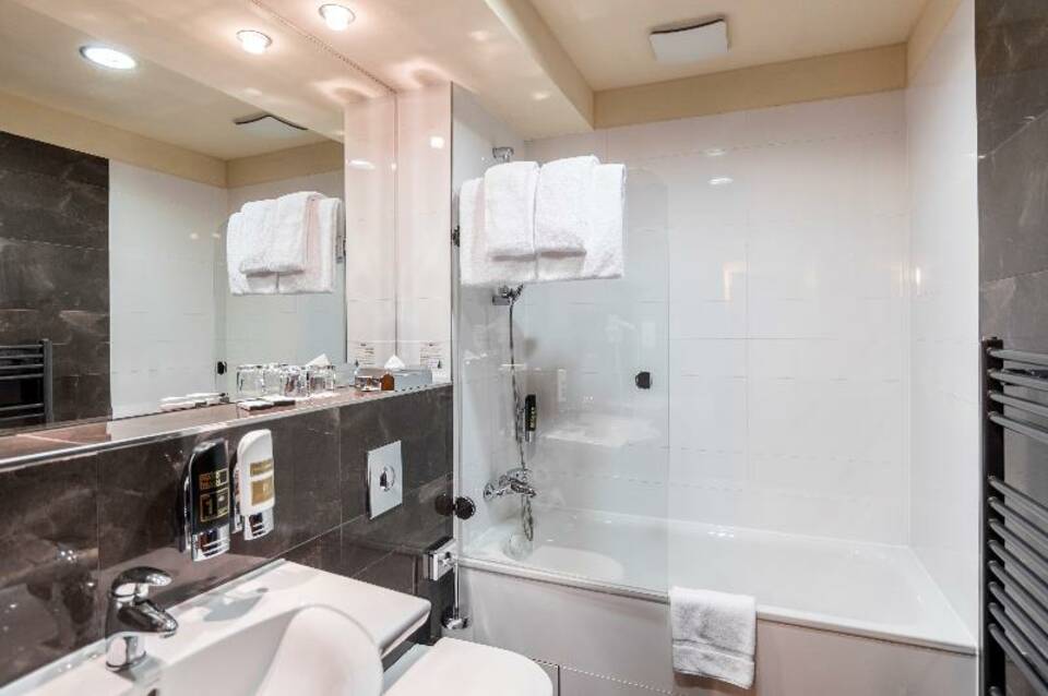 Hotel Majestic Plaza 4