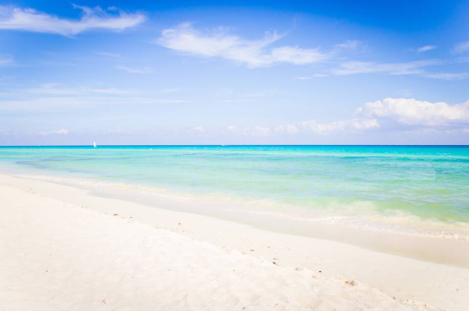 The Reef Playacar Beach Resort & Spa 3