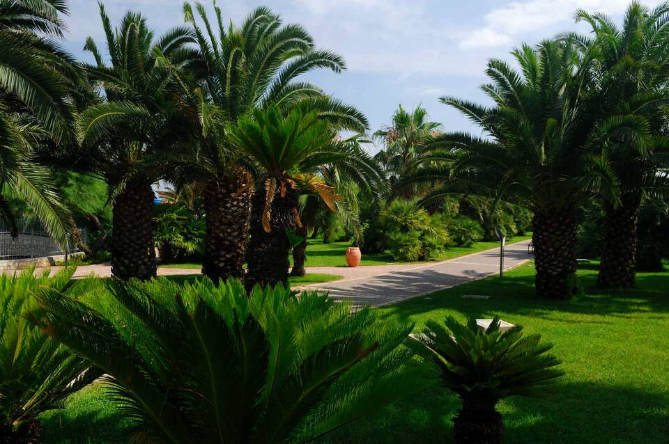 Gran Serena Hotel 3