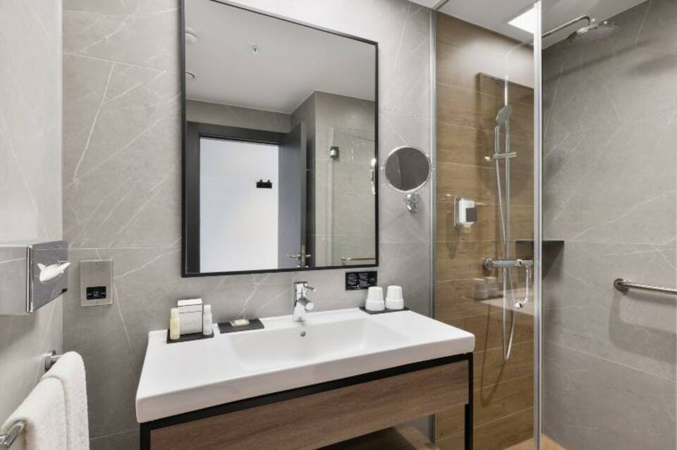 Hotel Riu Plaza London Victoria 5