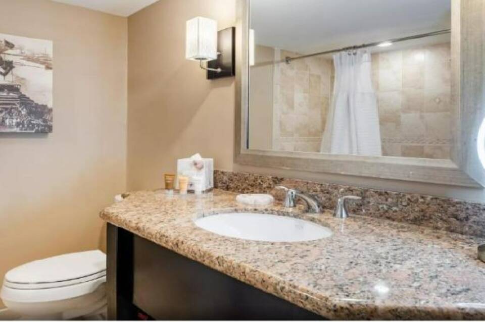 Crowne Plaza Orlando Downtown 5