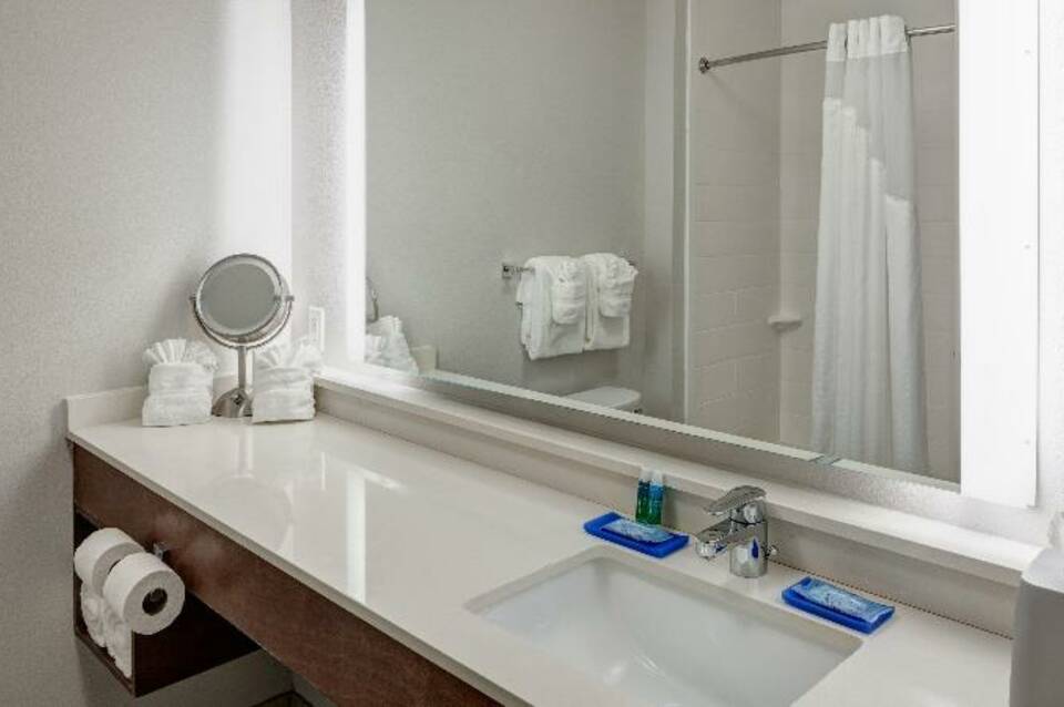Holiday Inn Express & Suites Orlando At Seaworld 5