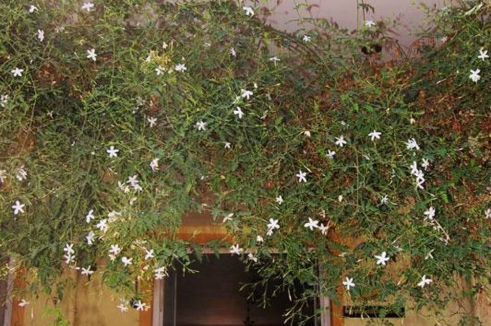 Hotel Metin 1