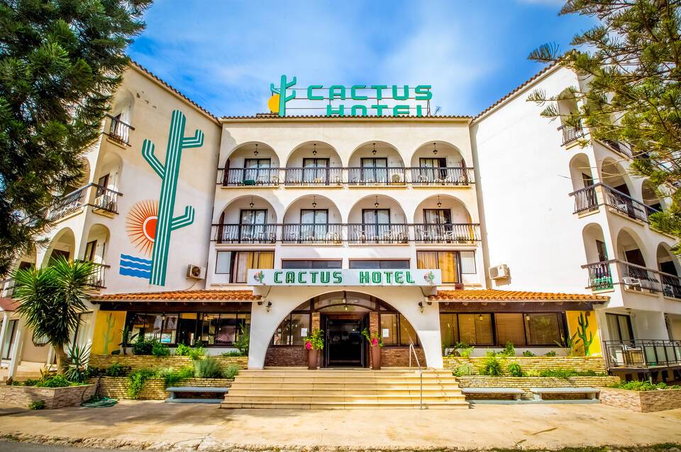 Cactus 1