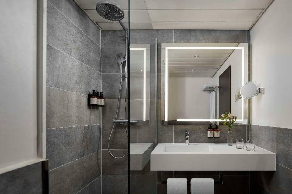 Avani Frankfurt City Hotel 4