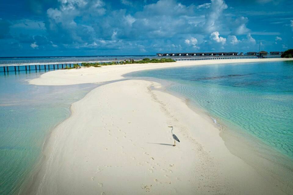 The Residence Maldives at Dhigurah 2