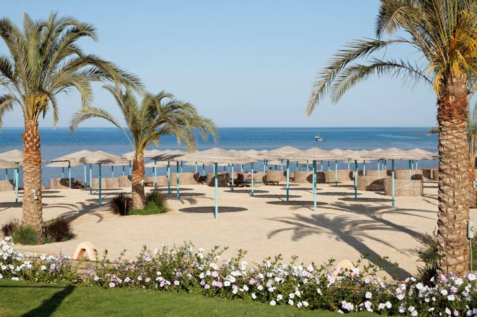 Three Corners Sunny Beach Resort 5