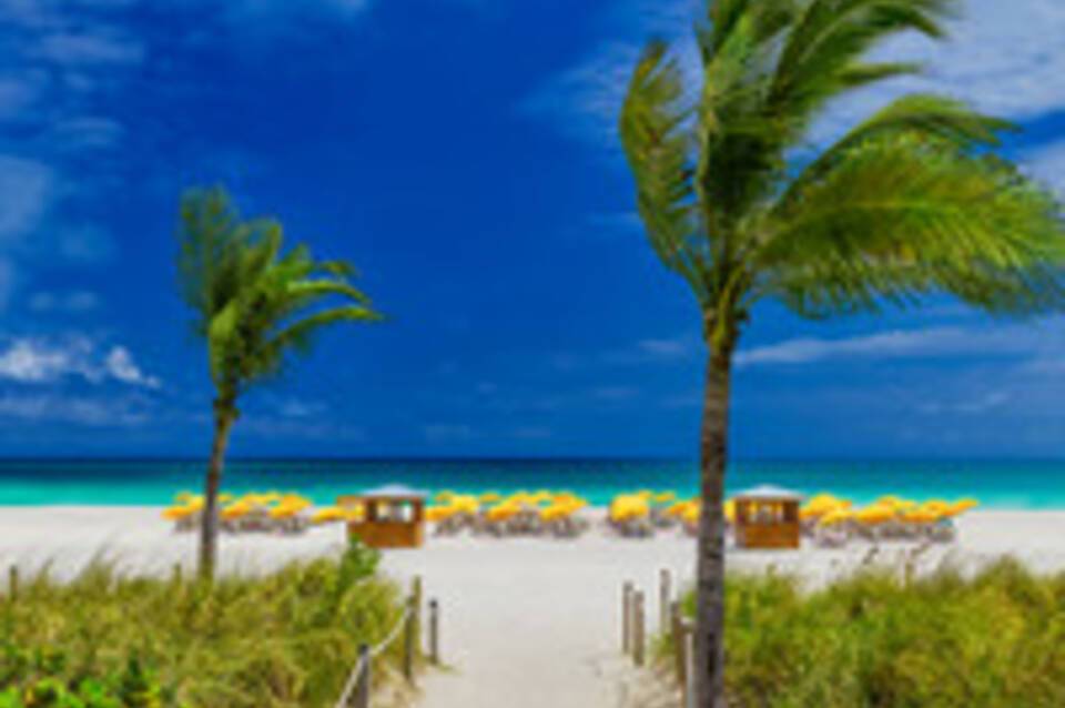 Royal Palm South Beach Miami, a Tribute Portfolio Resort 1