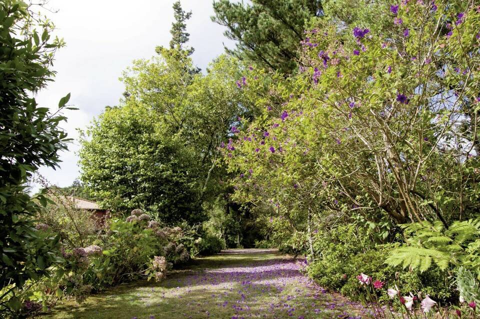 Quinta de Santo Antonio Da Serra 5