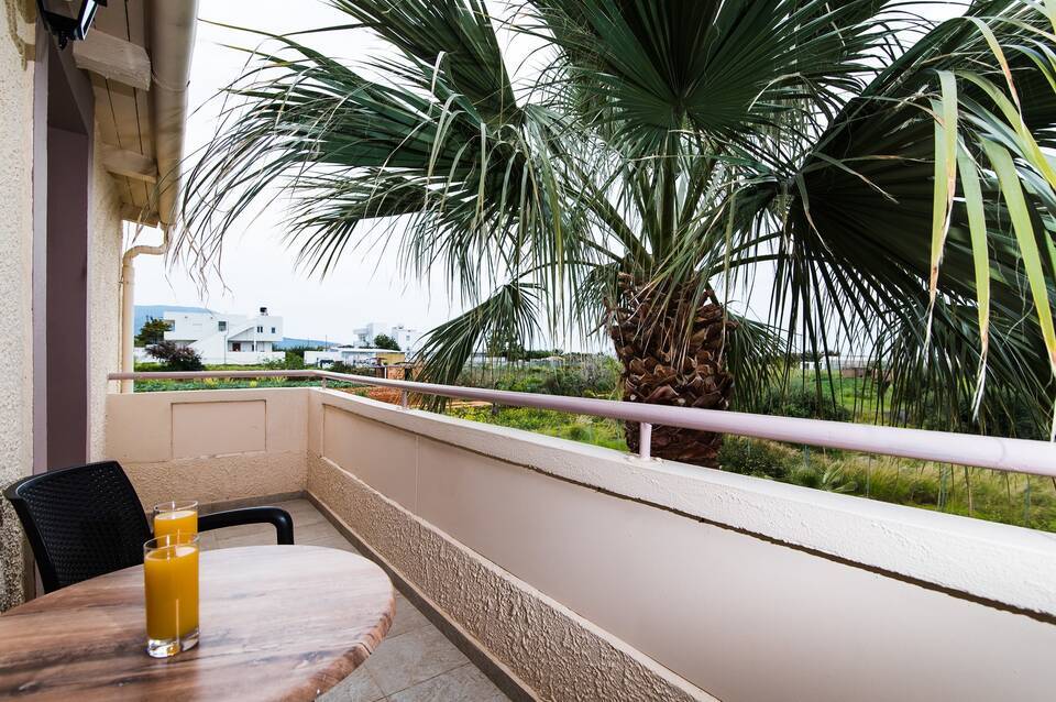 Le Palme 5