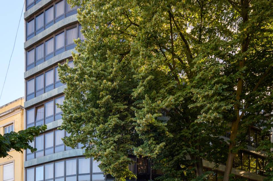 Dom Carlos Park 1