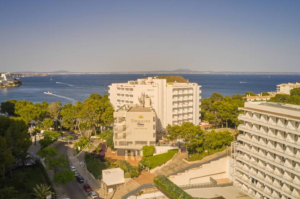 Alua Calvia Mallorca 1