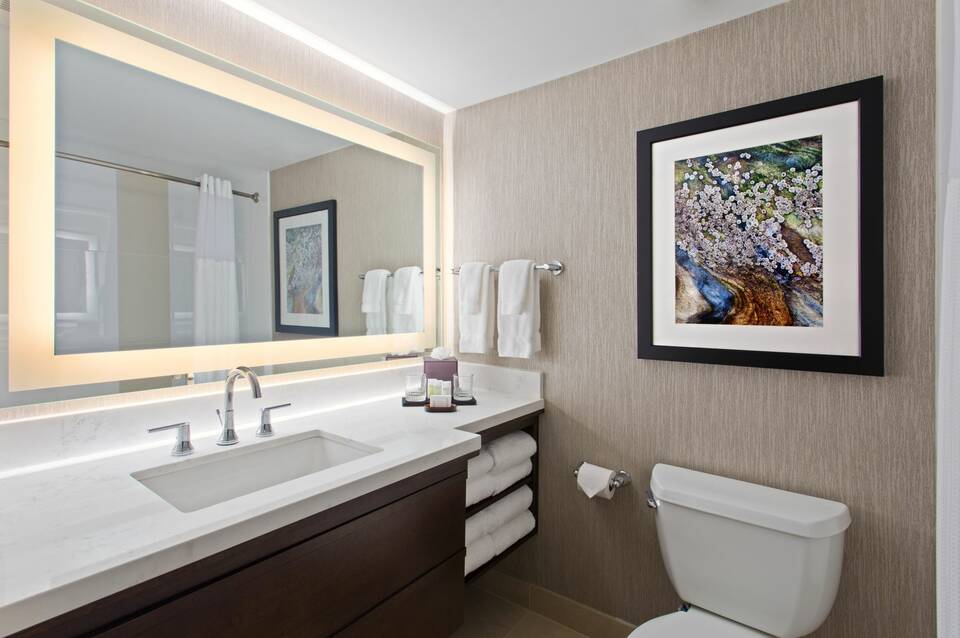 Embassy Suites by Hilton Orlando International Drive Convention Center 4