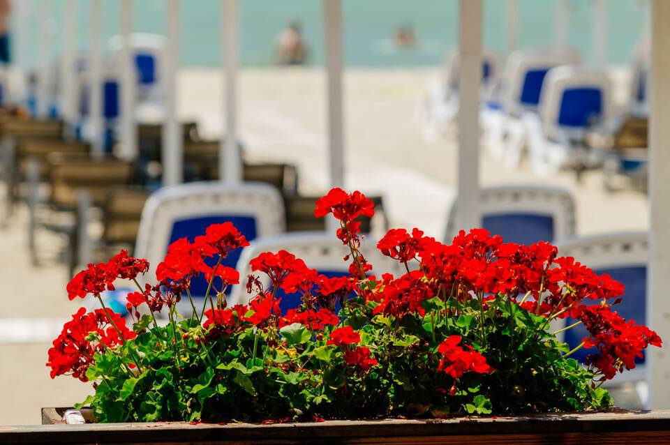 Albanian Star Hotel 2