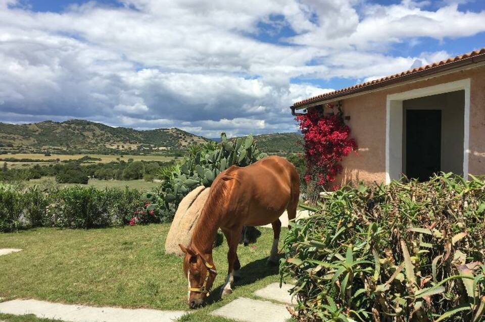 Borgo di Campagna 4