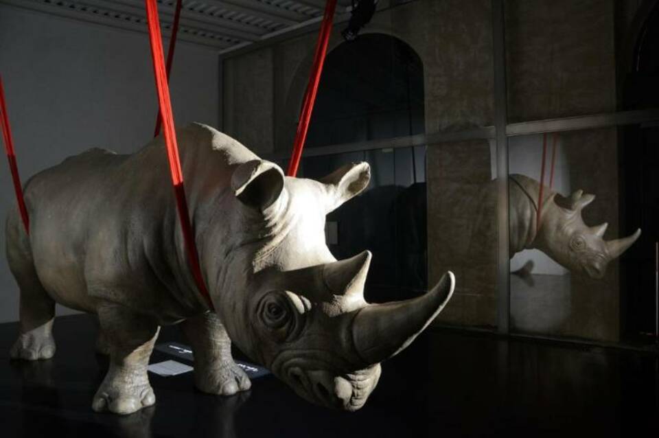Rhinoceros by Fendi Rome 4
